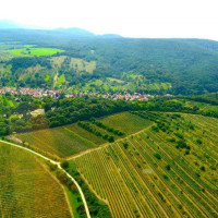 Doľany – Moderné srdce pod Malými Karpatmi